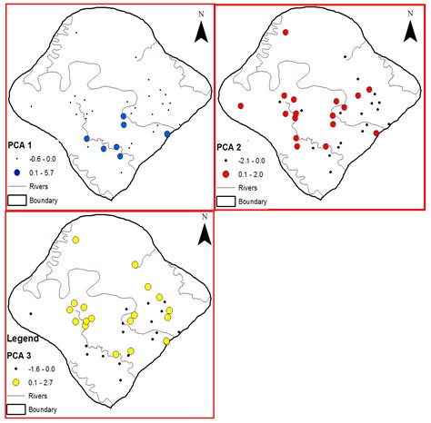 Water Free Full Text Coastal Aquifer Contamination And Geochemical