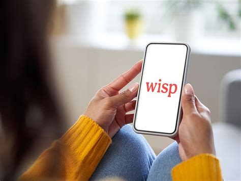 Wisp Review For 2024 Birth Control Utis Stis And More