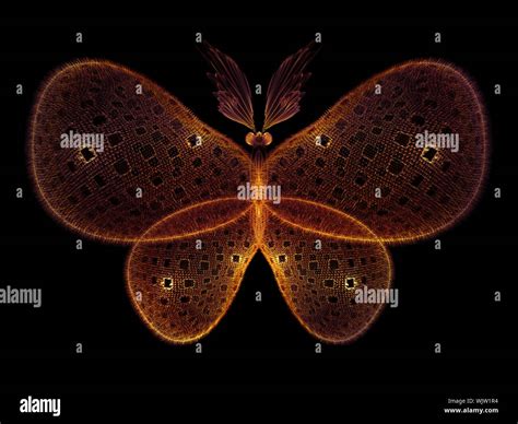 Never Were Butterflies series. Abstract design made of isolated butterfly patterns on the ...