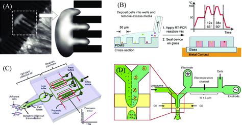 Methods of single-cell lysis. (A) Mechanical. Reprinted with permission... | Download Scientific ...