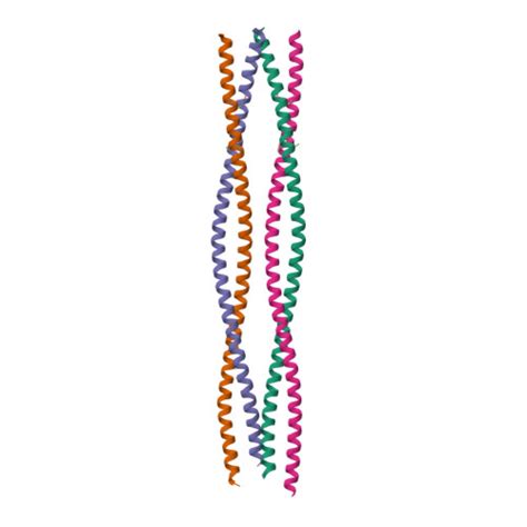 Rcsb Pdb Yrl Structure Of The Chlamydomonas Reinhardtii Sas