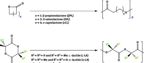 1 Ring Opening Polymerization Of Unsubstituted Lactones And Lactides