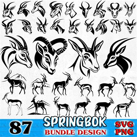 Springbok Bundle SVG, PNG Instant Digital Downloads - Etsy