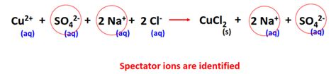 Net Ionic Equation Calculator All Steps Examples