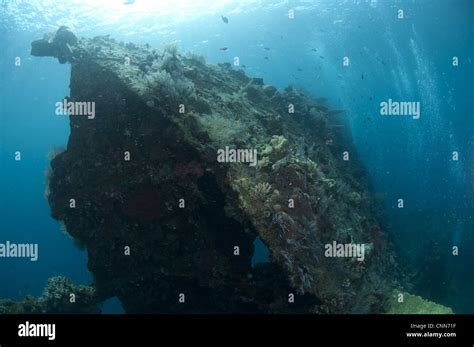 View Of Coral Encrusted Shipwreck Liberty Wreck Tulamben Bali