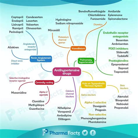 Medication Concept Map Template Printable And Enjoyable Learning