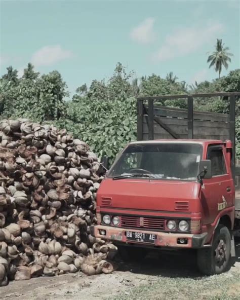 video farmadi adi  linkedin coconutfiberindonesia indonesia