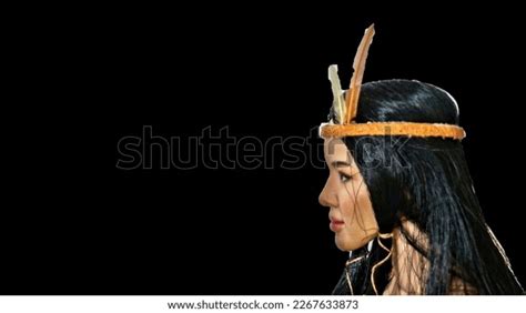 Native American Indian Shaman Portrait Head Stock Illustration ...