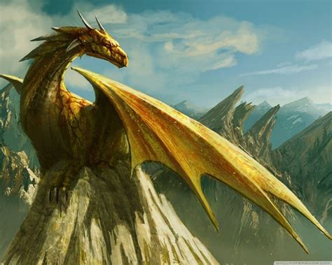 Gold Dragon Wallpapers Top Free Gold Dragon Backgrounds Wallpaperaccess