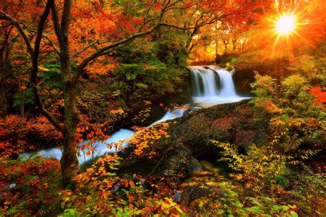 1920X1080 Most Beautiful Fall Scenery