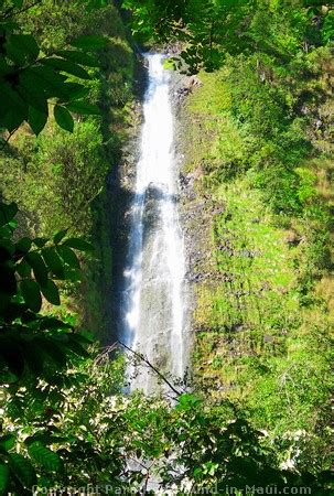 Maui's Bamboo Forest Hike Along the Pipiwai Trail