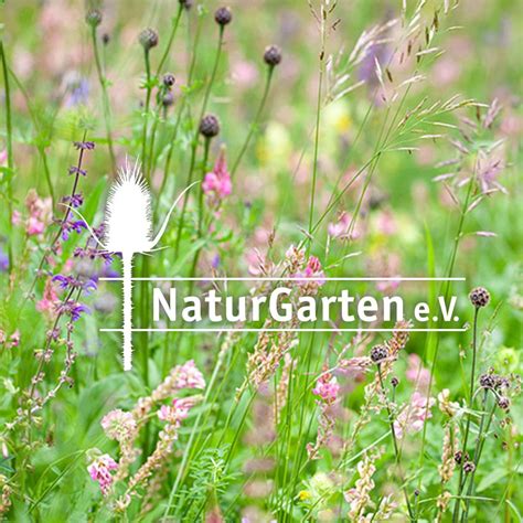 Naturgarten E V Was Ist Das F R Ein Verein Barbara Stark