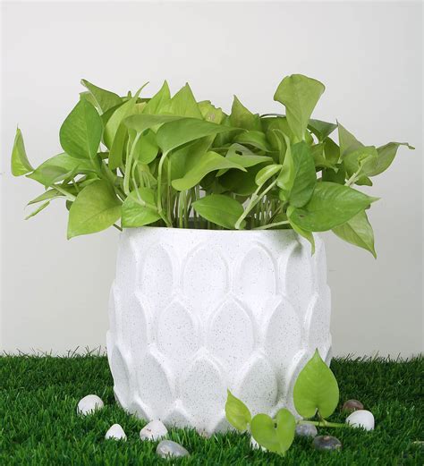 Buy White Ceramic Lotus Shape Planter By Justoriginals At 42 Off By Justoriginals Pepperfry