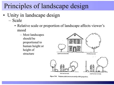 Ppt Principles Of Landscape Design Powerpoint Presentation Free