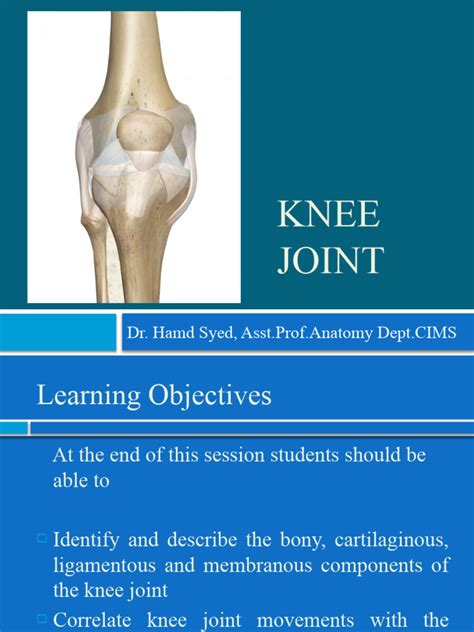 Knee Joint | PDF