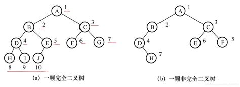 满二叉树和完全二叉树完全二叉树和满二叉树 Csdn博客