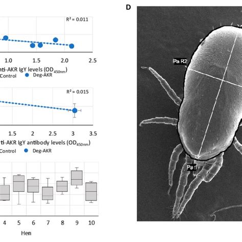 Life Cycle Of D Gallinae And Checkpoints For The Evaluation Of Vaccine Download Scientific