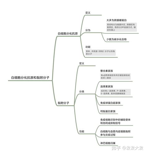 医学免疫学思维导图 知乎