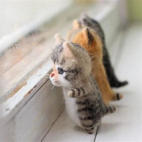 Two Cats Looking Out The Window At Each Other