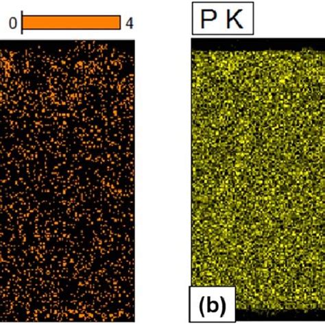 Eds Line Scan Of Phosphorus Element For The Cross Section Of Fresh