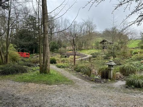 These Japanese Gardens, Designed At Gatton Park In 1909, Were Lost For ...