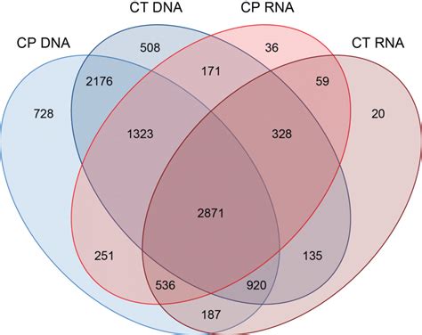 7 Venn Diagram Of Distribution Of 16s Rrna Gene Based Otus In C