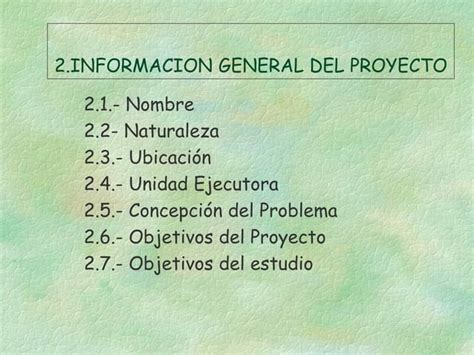 Esquema De Un Proyecto Privado PPT