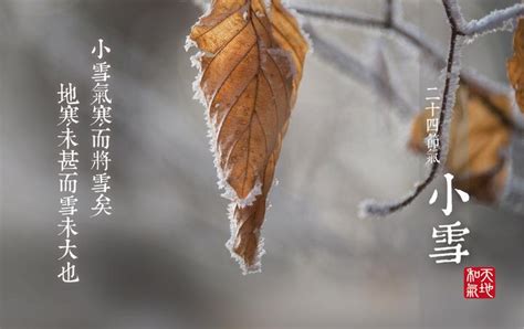 今日小雪｜这些节气英文词汇你知道吗？跟着翻译公司一起学习吧！ 知乎