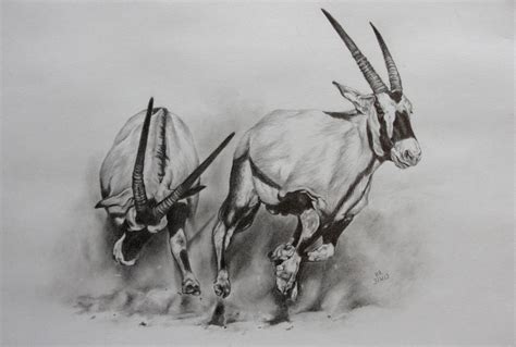 Oryx By Helenr251 On Deviantart