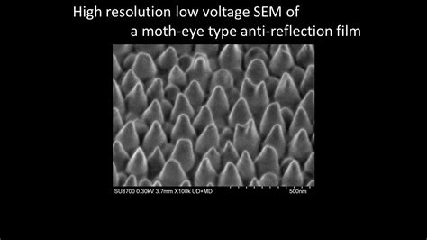 Materials High Resolution Low Voltage Sem Of A Moth Eye Type Anti