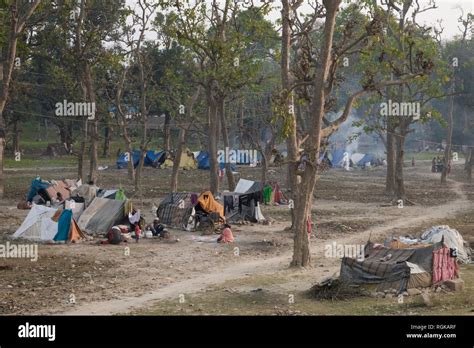 Comunidad de personas que viven en tiendas de campaña en el bosque a