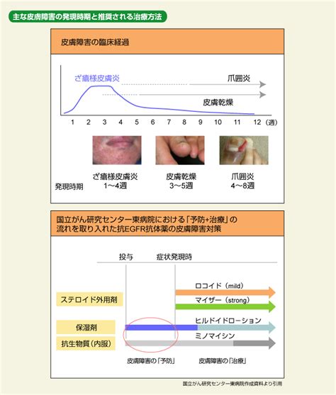 図1 主な皮膚障害の発現時期と推奨される治療方法