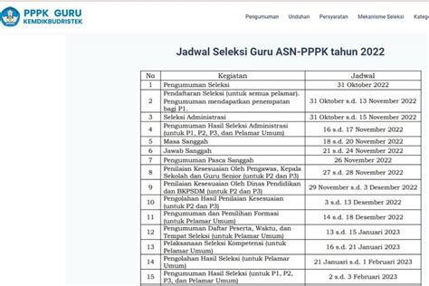 Hasil Seleksi Administrasi PPPK Guru 2022 Sudah Keluar Apa Tahap