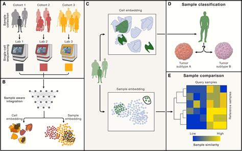 The Future Of Rapid And Automated Single Cell Data Analysis Using