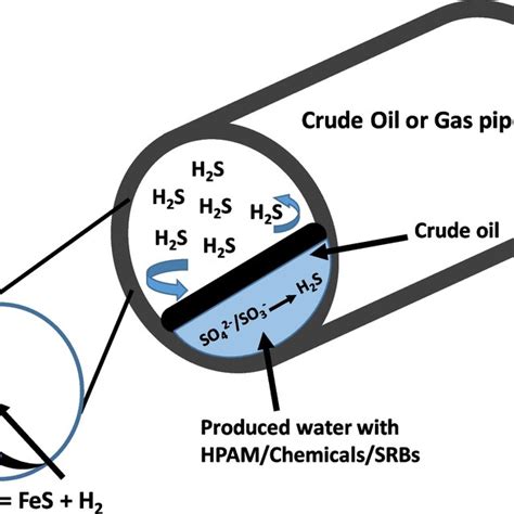 Microbial Induced Corrosion MIC In The Oil And Gas Pipeline