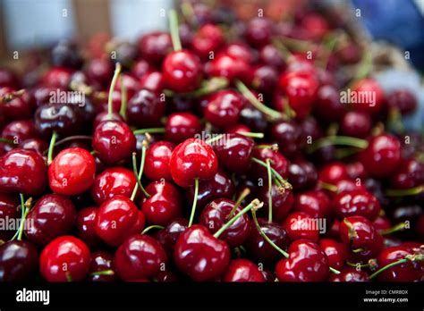 Closeup Of A Bunch Of Cherries Stock Photo Alamy