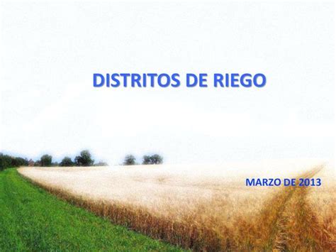 Pdf Distritos De Riego Consejo Mexicano Para El