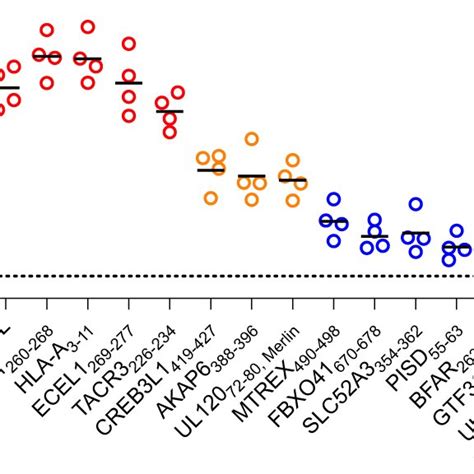 Design And Validation Of Hla E On Yeast Representation Of Hla E A