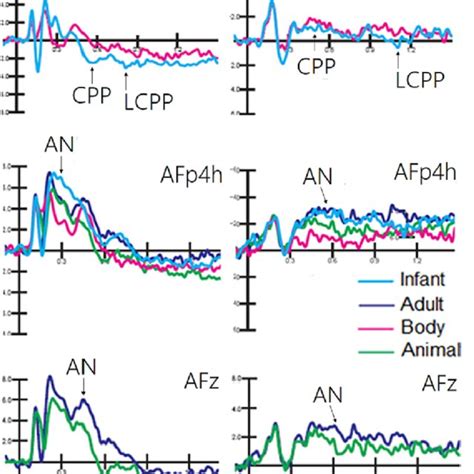 Visual Erps Grand Average Erp Waveforms Showing Late Latency