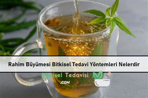 Rahim B Y Mesi Bitkisel Tedavisi Bitkisel Tedavi