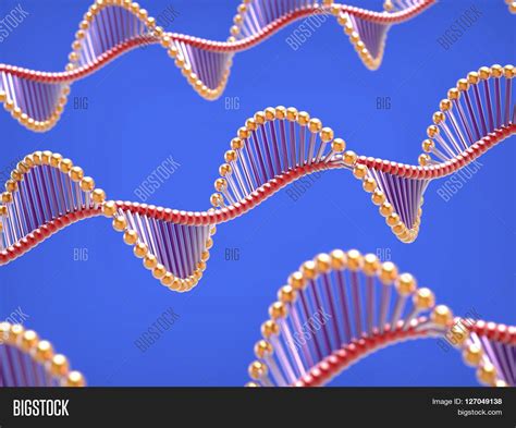 3d Dna Helix Image And Photo Free Trial Bigstock