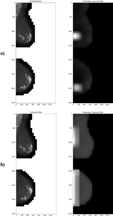 Figure 3 From Interpretable Deep Learning Approach For Classification