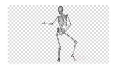 Free Dancing Skeleton  Transparent Download Free Dancing Skeleton