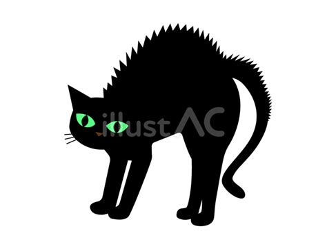 威嚇ポーズの黒猫のイラストイラスト No 23966758｜無料イラスト・フリー素材なら「イラストac」