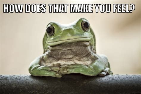 Empathetic Frog Know Your Meme