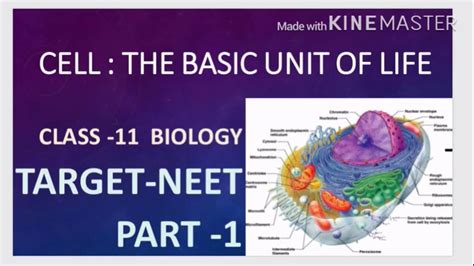 Ncert Underline Cell The Unit Of Life Part 1 Class 11 Neet 2022