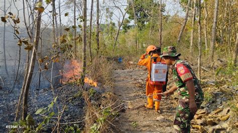 Karhutla Di Sragen Sembilan Hektar Lahan Terbakar Dipicu Warga Yang