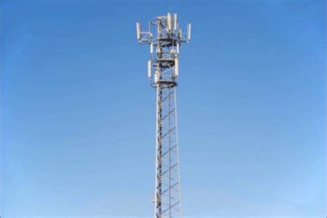 Rogers Temporarily Pauses Process To Install Cell Tower In Duncan