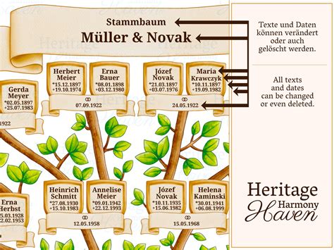 Stammbaum 4 Generationen Vorlage Editierbarer Familienstammbaum