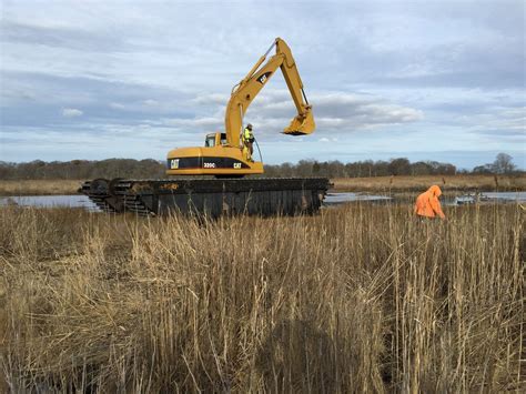 Marsh Restoration | Climate Insight